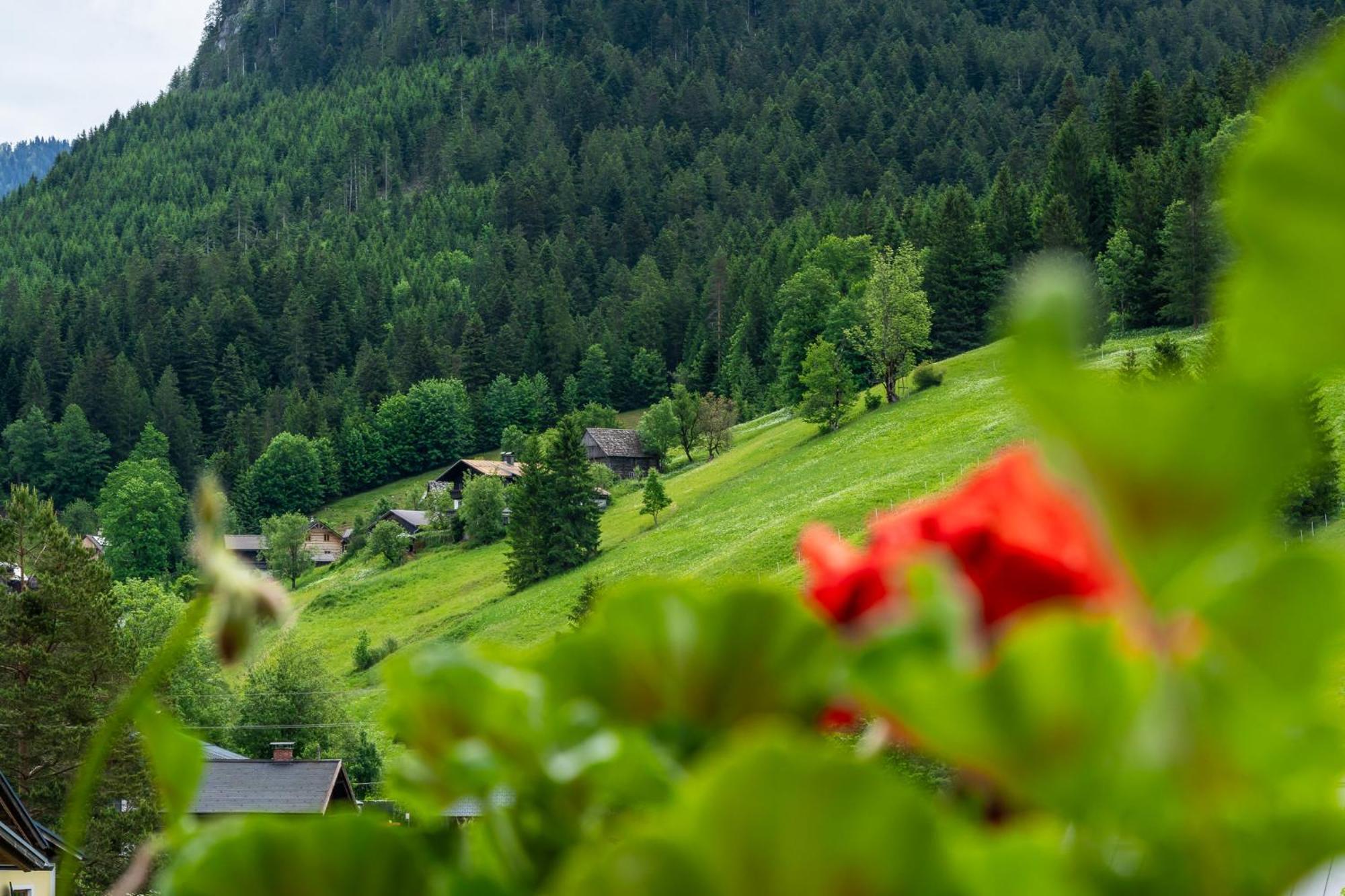 Haus Friedrich Hotell Gosau Eksteriør bilde